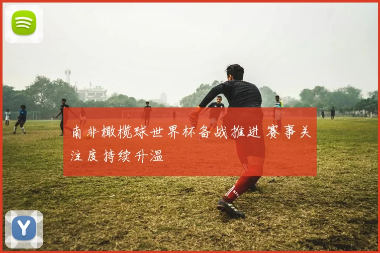 南非橄榄球世界杯备战推进 赛事关注度持续升温